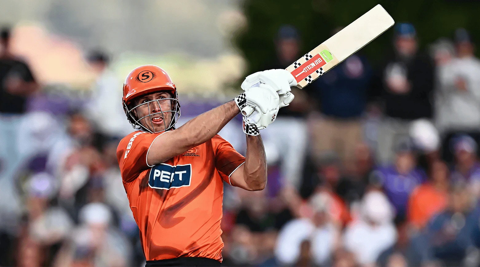 BBL to introduce designated player rule from 2026-27 season